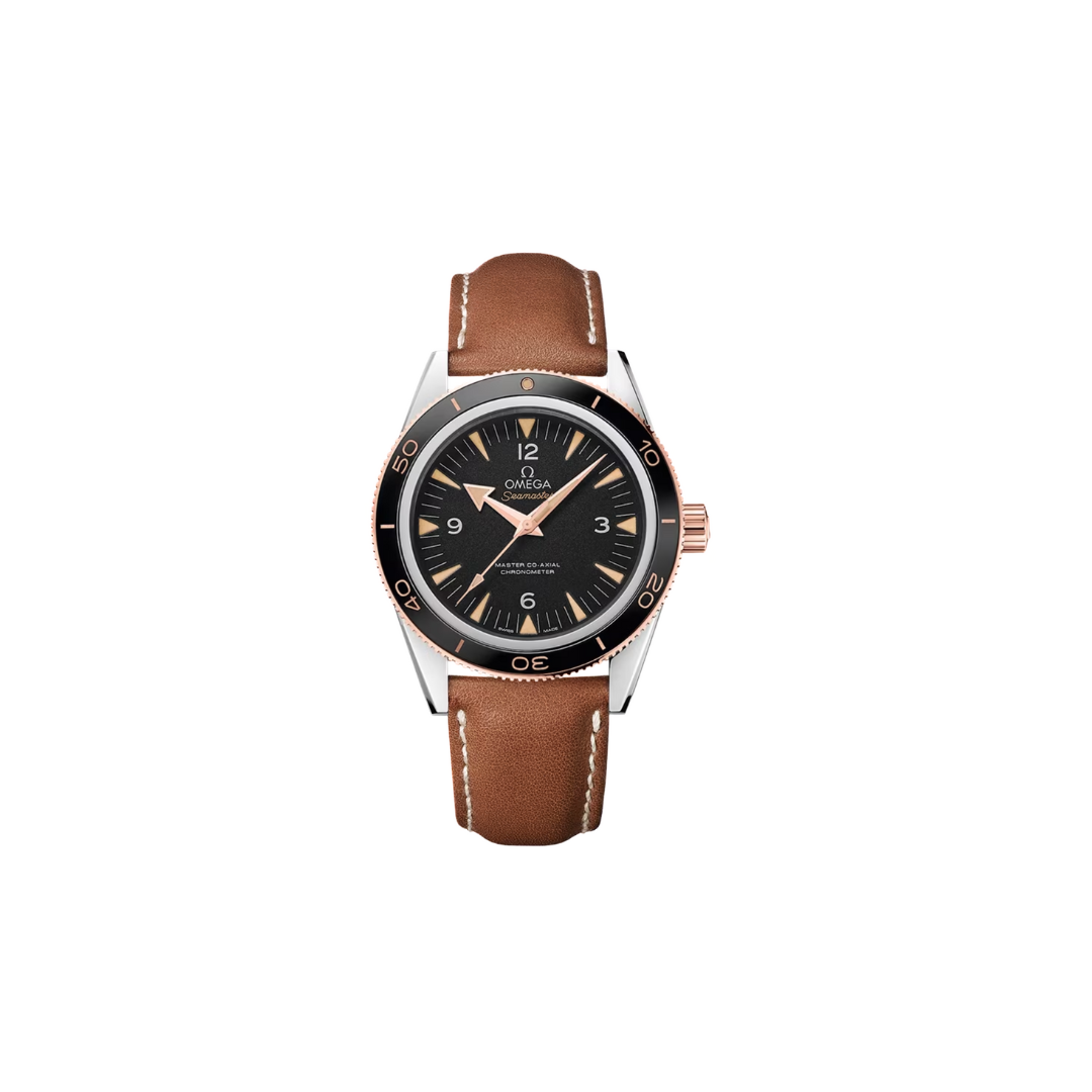 Men's watch / unisex  OMEGA, Seamaster / 41mm, SKU: 233.22.41.21.01.002 | timeolution.com