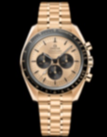 Speedmaster Moonwatch Professional / 42mm