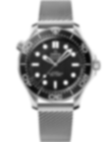 Seamaster Diver 300m / 42mm