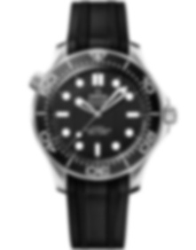 Seamaster Diver 300m / 42mm