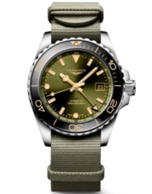 HydroConquest GMT / 41mm