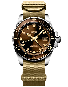 HydroConquest GMT / 41mm