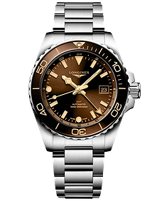 HydroConquest GMT / 41mm