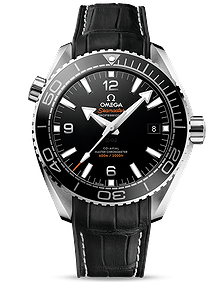 Seamaster Planet Ocean 600M / 43.5mm