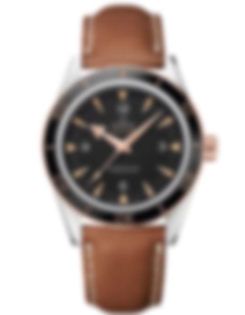 Men's watch / unisex  OMEGA, Seamaster / 41mm, SKU: 233.22.41.21.01.002 | timeolution.com