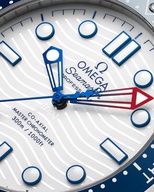 Men's watch / unisex  OMEGA, Seamaster Diver 300M America’s Cup / 42mm, SKU: 210.32.42.20.04.002 | timeolution.com