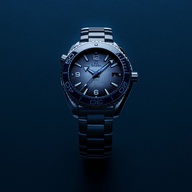 Men's watch / unisex  OMEGA, Planet Ocean 600m Co Axial Master Chronometer / 39.5mm, SKU: 215.30.40.20.03.002 | timeolution.com