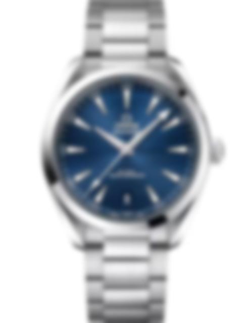 Men's watch / unisex  OMEGA, Seamaster Aqua Terra 150m Co Axial Master Chronometer / 41mm, SKU: 220.10.41.21.03.004 | timeolution.com