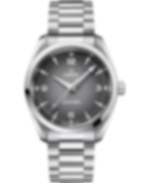 Men's watch / unisex OMEGA, Seamaster Railmaster / 38mm, SKU: 235.10.38.20.06.001 | timeolution.com