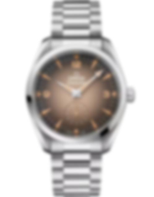 Men's watch / unisex OMEGA, Seamaster Railmaster / 38mm, SKU: 235.10.38.20.13.001 | timeolution.com