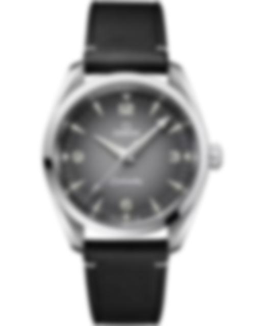 Men's watch / unisex OMEGA, Seamaster Railmaster / 38mm, SKU: 235.12.38.20.06.001 | timeolution.com