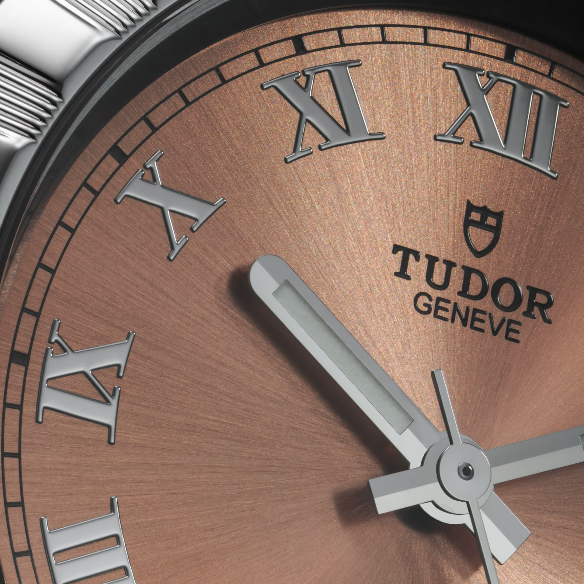 Ladies' watch  TUDOR, Tudor Royal / 34mm, SKU: M28400-0009 | timeolution.com