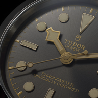 Men's watch / unisex  TUDOR, Black Bay 39 / 39mm, SKU: M79660-0001 | timeolution.com