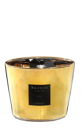  BAOBAB COLLECTION, Aurum Max 10, SKU: MAX10AU | timeolution.com